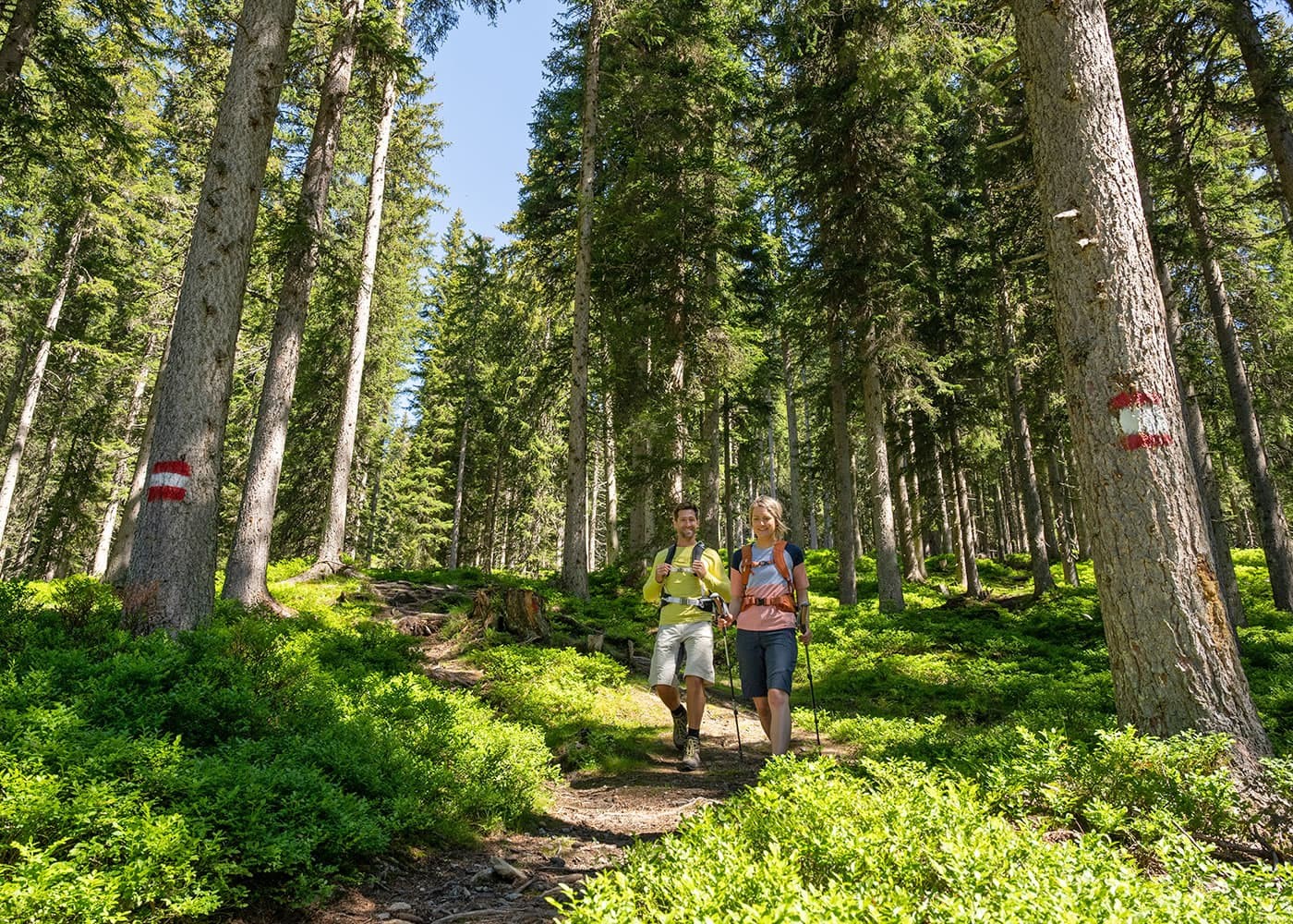 Wanderung durch den Wald © TVB Radstadt, Lorenz Masser