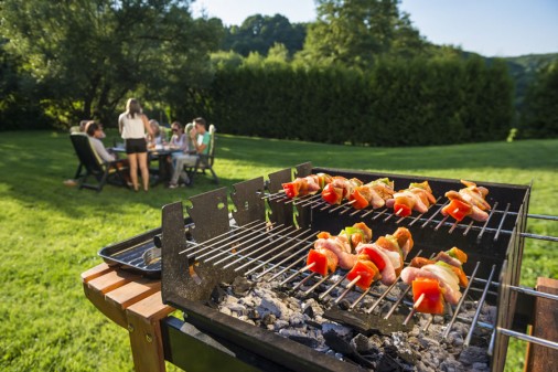 Liegewiese und überdachte Grillecke im Hubengut, Radstadt