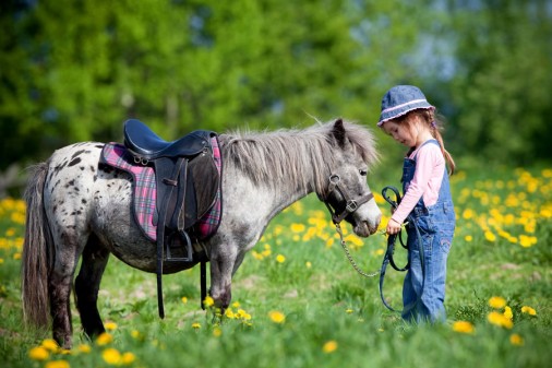 Ponyfüttern im Hubengut, Salzburger Land