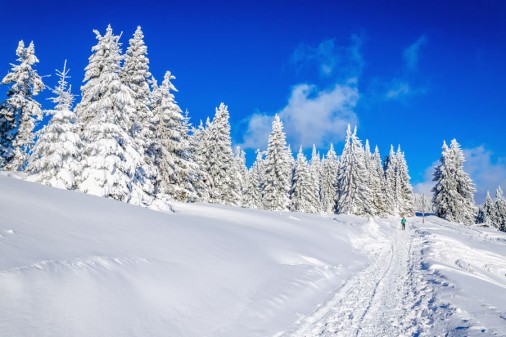 Winterurlaub in Radstadt, Ski amadé